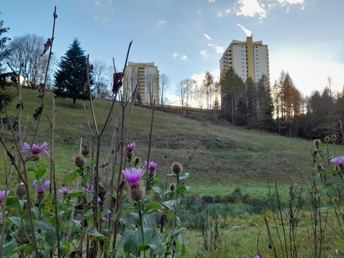 Hotel Silbertanne Hohegeiß Kültér fotó